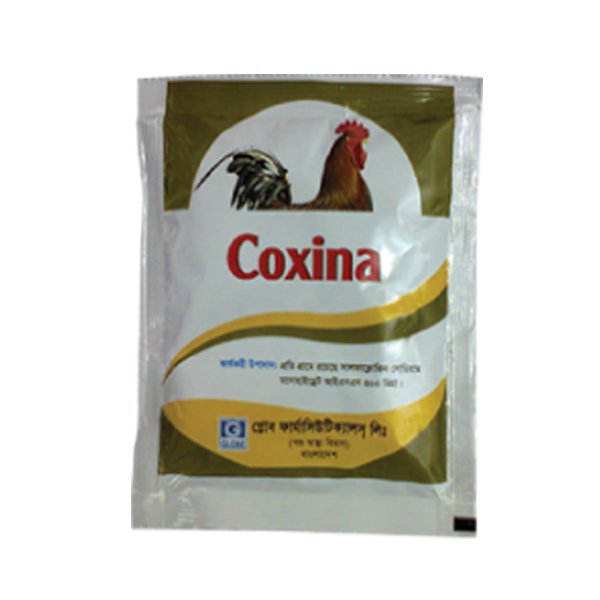 Coxina